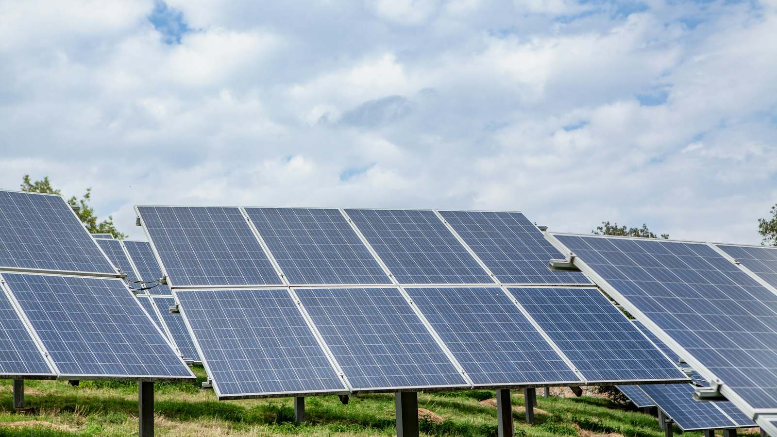 Ground-mounted solar panels on posts in a grassy field