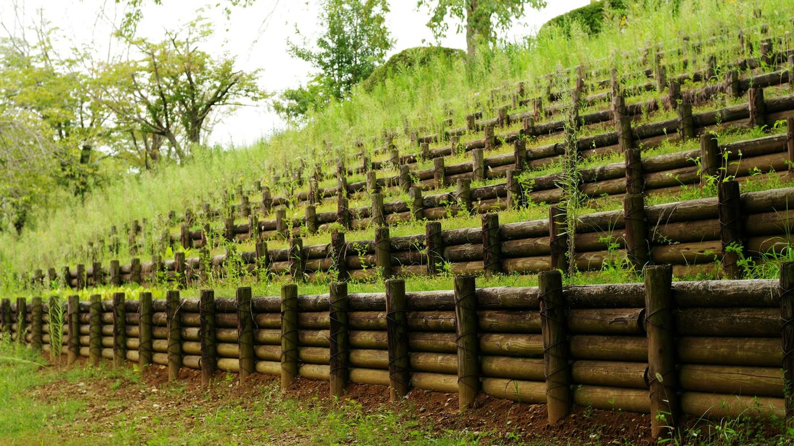 Terraced timber retaining walls stepping up a grassy slope