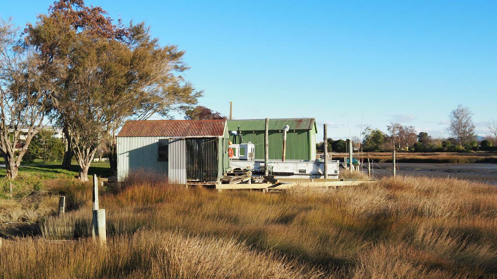 Corrugated iron sheds on a raised timber platform in the estuary grass at Riwaka