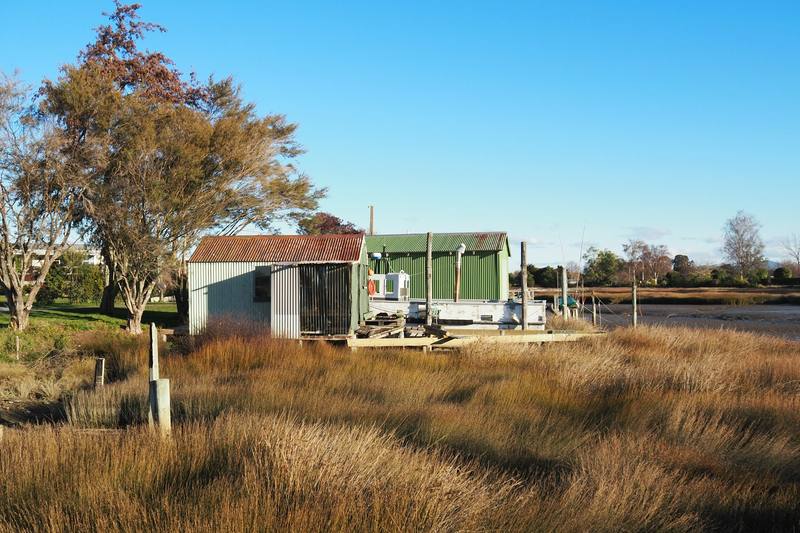 Corrugated iron sheds on a raised timber platform in the estuary grass at Riwaka