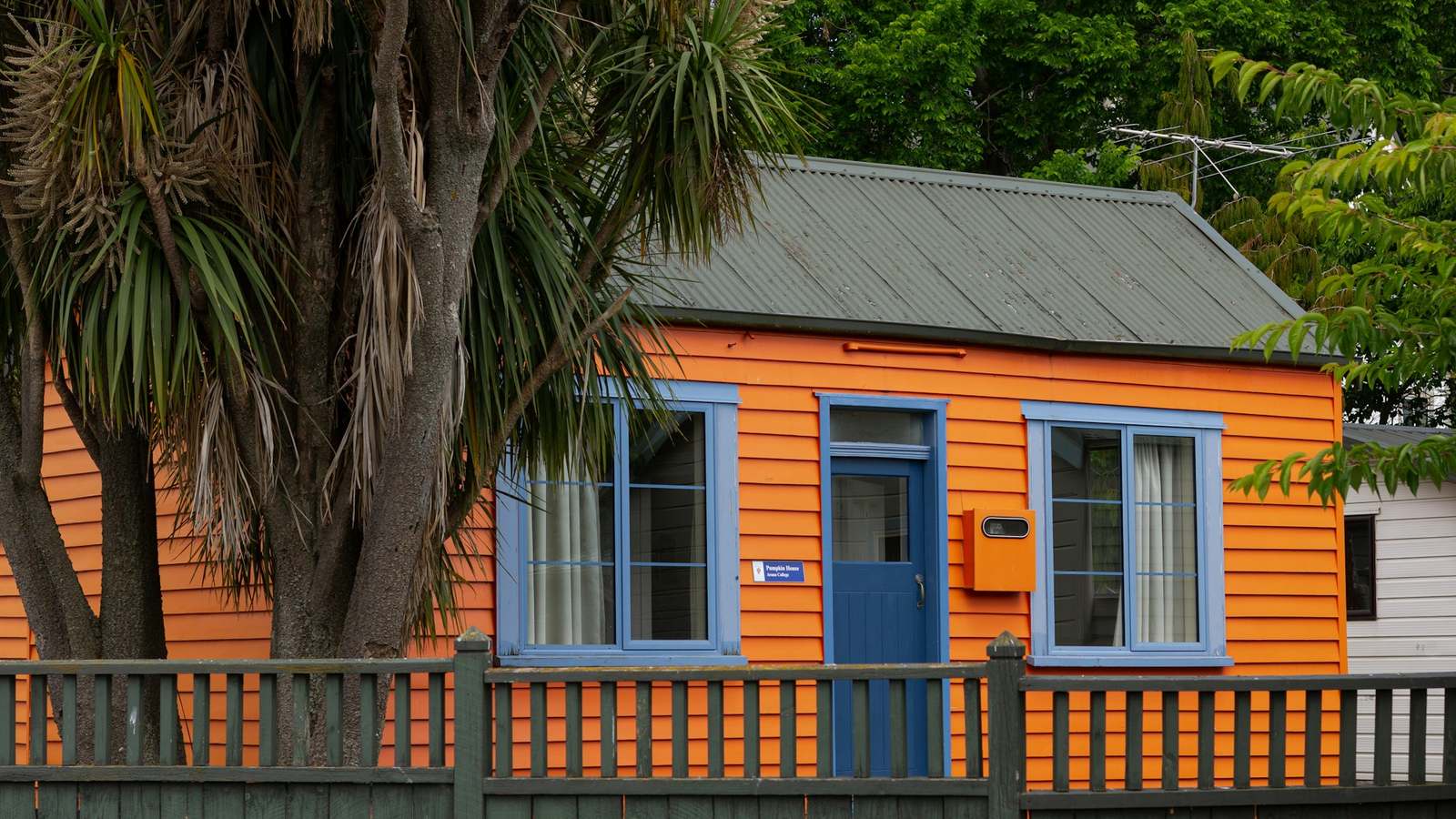 A tiny orange weatherboard cottage with a picket fence and a cabbage tree in Dunedin